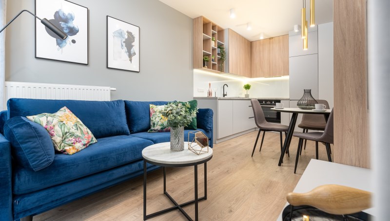 mieszkanie na wynajem